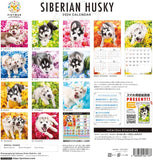 PICTWAN 2024 Calendar L Edition Siberian Husky L026