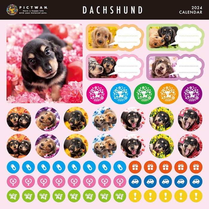 PICTWAN 2024 Calendar S Edition Dachshund S036