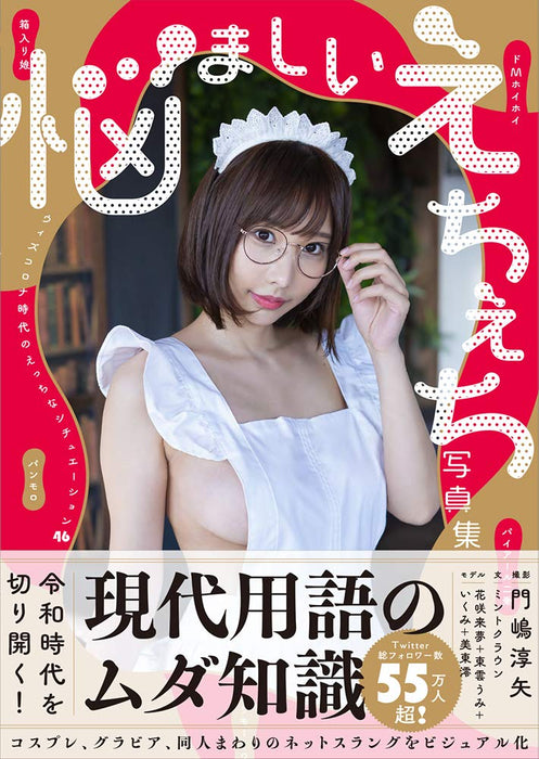 Nayamashii Echiechi Photobook