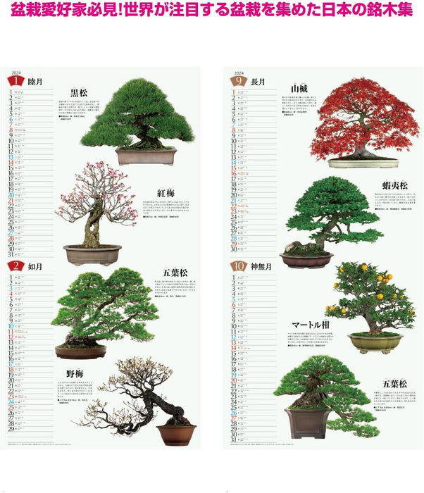 New Japan Calendar 2024 Wall Calendar Bonsai Calendar NK152 770x350mm