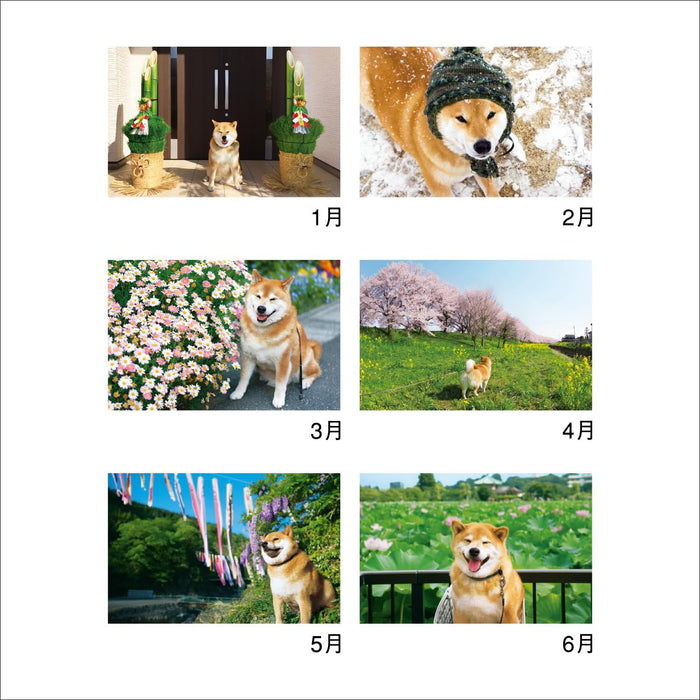 New Japan Calendar 2024 Wall Calendar Walk with Shiba Inu Maru Calendar NK35