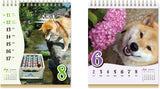 New Japan Calendar 2024 Desk Calendar Shiba Inu Maru's Chatter Weekly Flip NK4308