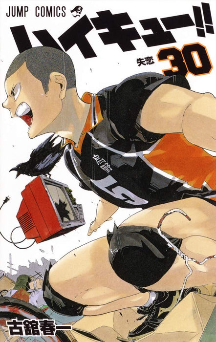 Haikyu!! 30