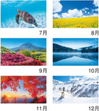 New Japan Calendar 2023 Wall Calendar Forever Japan NK142