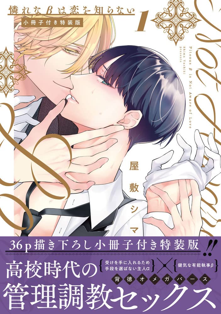 Aware na Beta wa Koi wo Shiranai 1 Special Edition with Booklet [with Limited Paper]