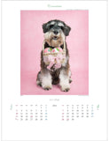 Todan 2024 Wall Calendar Love Dog - Rachel Hale Works - 53.5 x 38cm TD-933