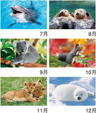 New Japan Calendar 2023 Wall Calendar Animals NK104