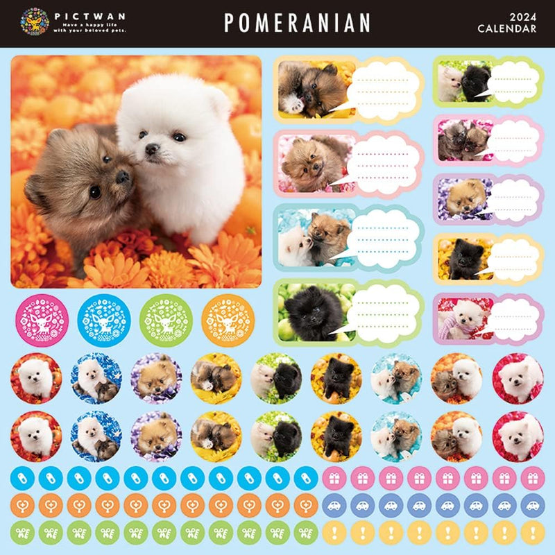 PICTWAN 2024 Calendar L Edition Pomeranian L019
