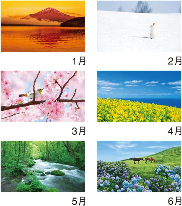 New Japan Calendar 2023 Wall Calendar Forever Japan NK142