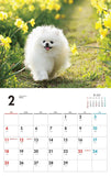 I LOVE Pomeranians Calendar 2024(Monthly/Wall Calendar)