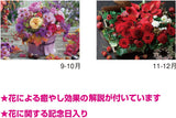 New Japan Calendar 2024 Wall Calendar Floral Healing Moji 2 Months Type NK903