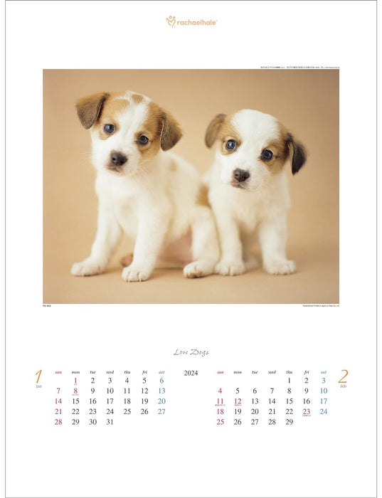 Todan 2024 Wall Calendar Love Dog - Rachel Hale Works - 53.5 x 38cm TD-933