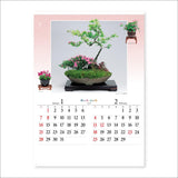New Japan Calendar 2024 Wall Calendar Flower of Nature NK46