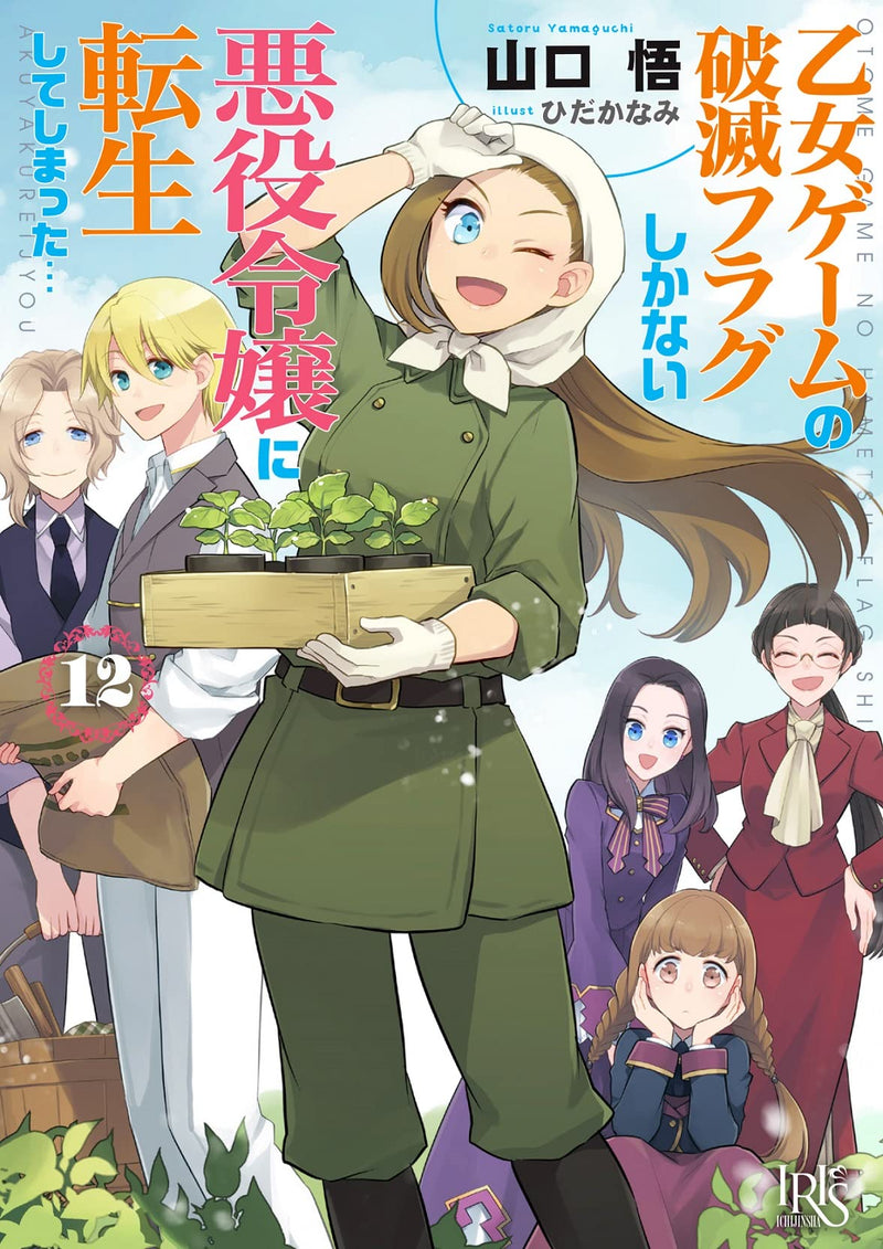 My Next Life as a Villainess: All Routes Lead to Doom! 12 (Light Novel)