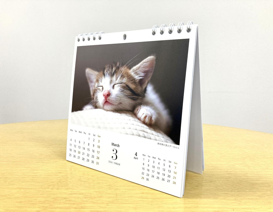 Yama-kei Calendar 2024 Toroke Cat (Monthly / Desk / Ring)