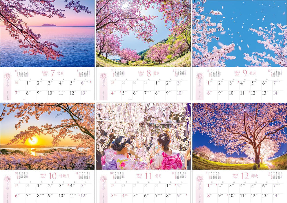 Shashin Koubou 'SAKURA Salura Sakura to 365 Days' 2024 Wall Calendar (with 420x297 holder)