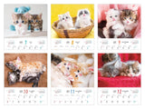 Fuwa Fuwa Nyanko (Impress Calendar 2024)