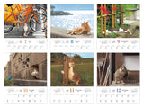 Soto Neko (Impress Calendar 2024)