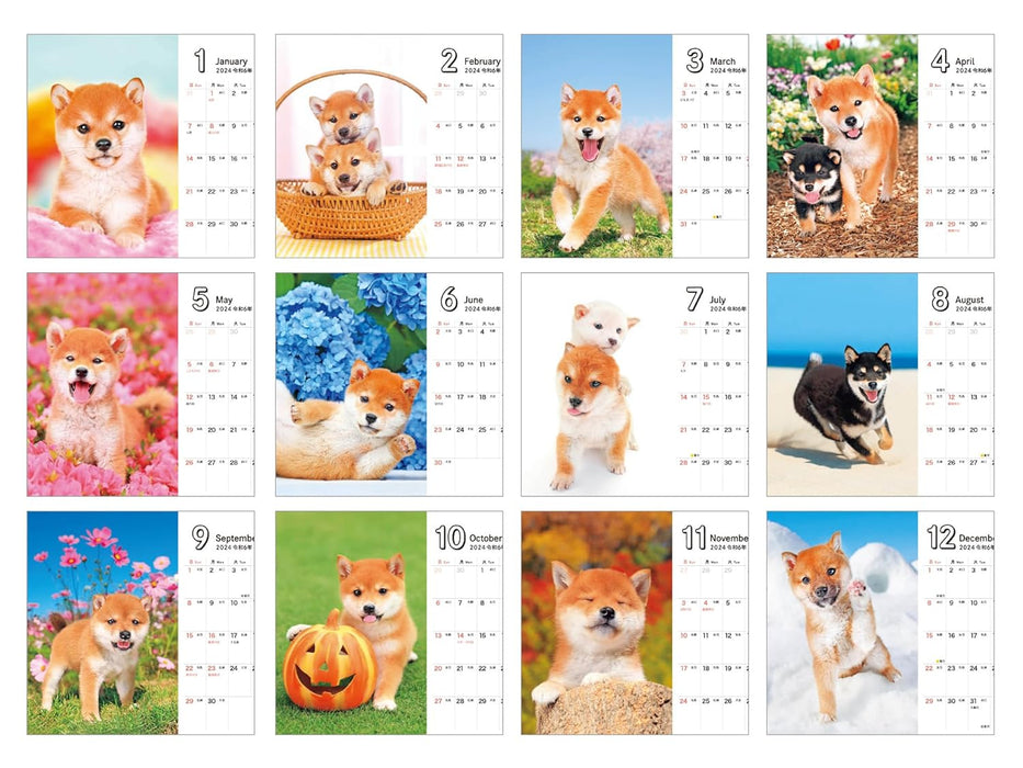 Shiba Inu Biyori mini (Impress Calendar 2024)