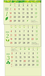 Todan 2024 Wall Calendar Green 3-Month eco (From Top to Bottom Type / Perforated) 75 x 35cm TD-30787