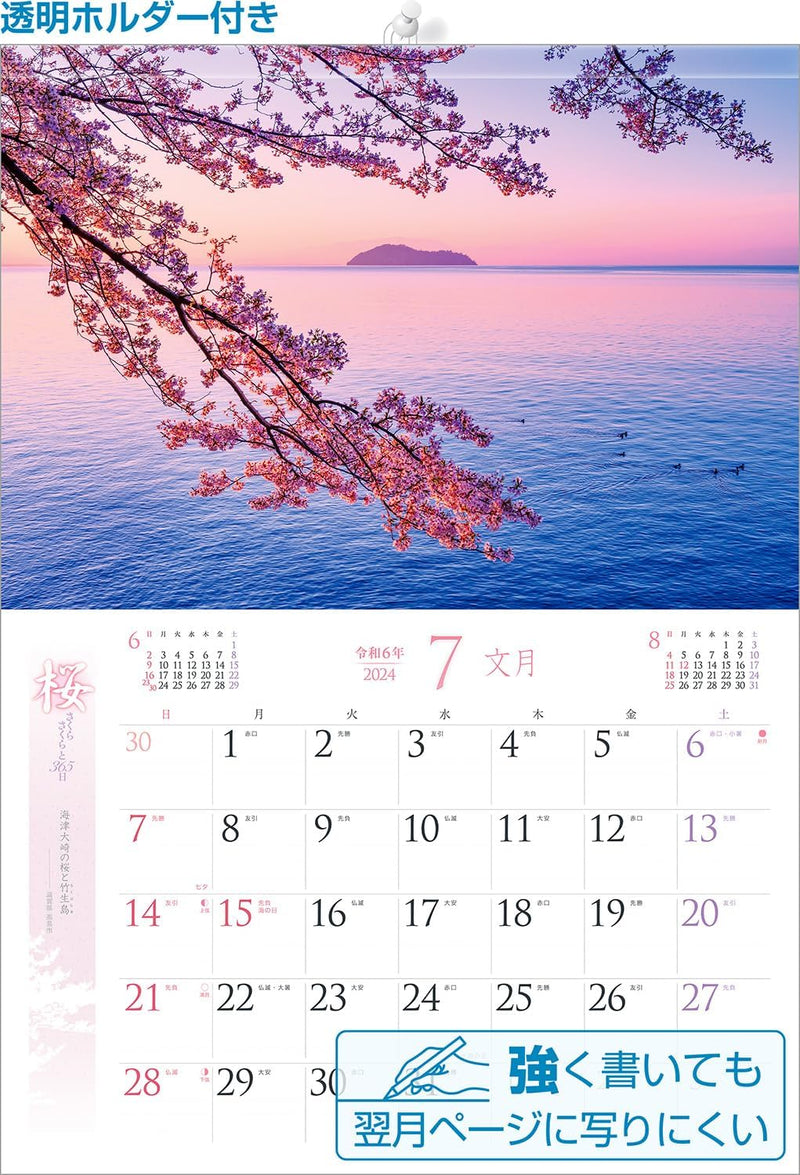 Shashin Koubou 'SAKURA Salura Sakura to 365 Days' 2024 Wall Calendar (with 420x297 holder)