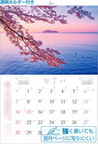 Shashin Koubou 'SAKURA Salura Sakura to 365 Days' 2024 Wall Calendar (with 420x297 holder)