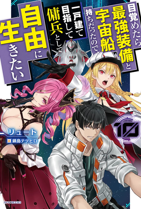 Mezametara Saikyou Soubi to Uchuusen-mochi Datta no de, Ikkodate Mezashite Youhei Toshite Jiyuu ni Ikitai 10 (Light Novel)