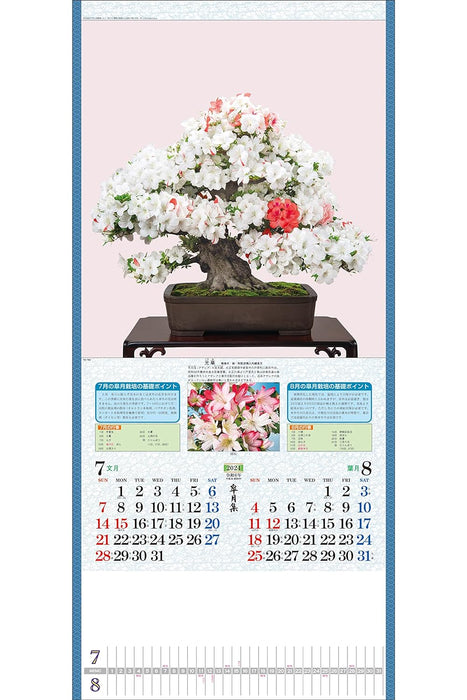 Todan 2024 Wall Calendar Satsuki Shu 76.5 x 35cm TD-784