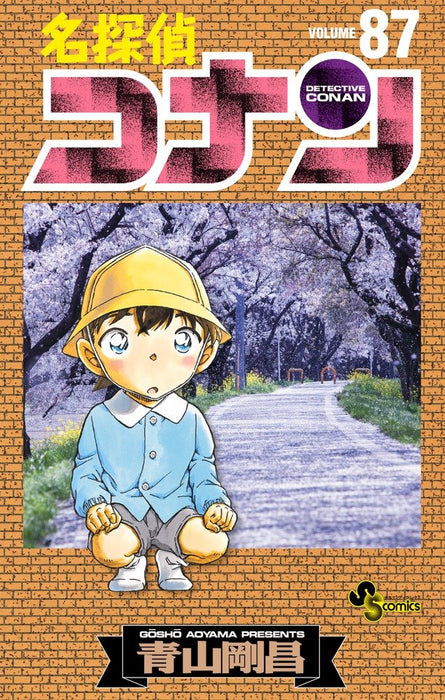 Case Closed (Detective Conan) 87