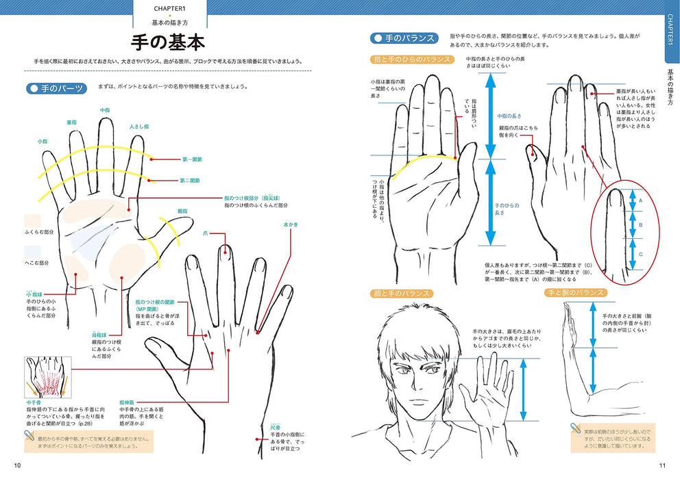 How to Draw Hands Taught by Takahiro Kagami with His Full Force - Overwhelmingly Moving Drawing Style