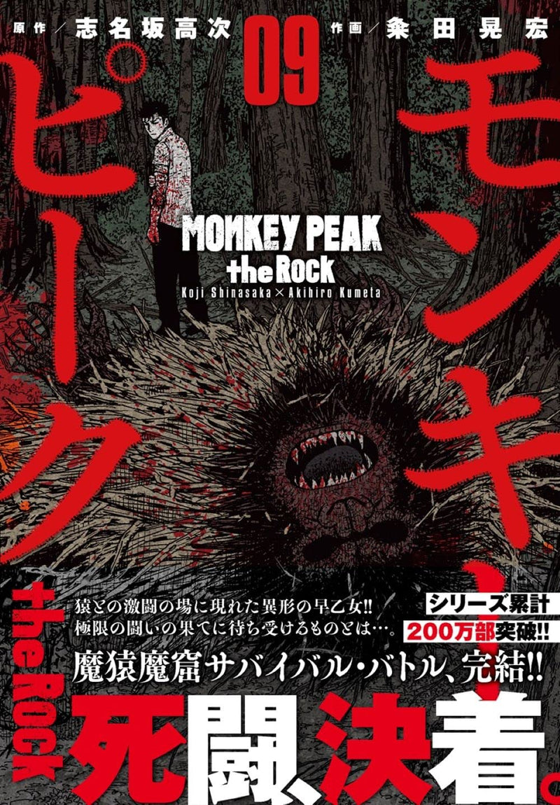 Monkey Peak the Rock 9