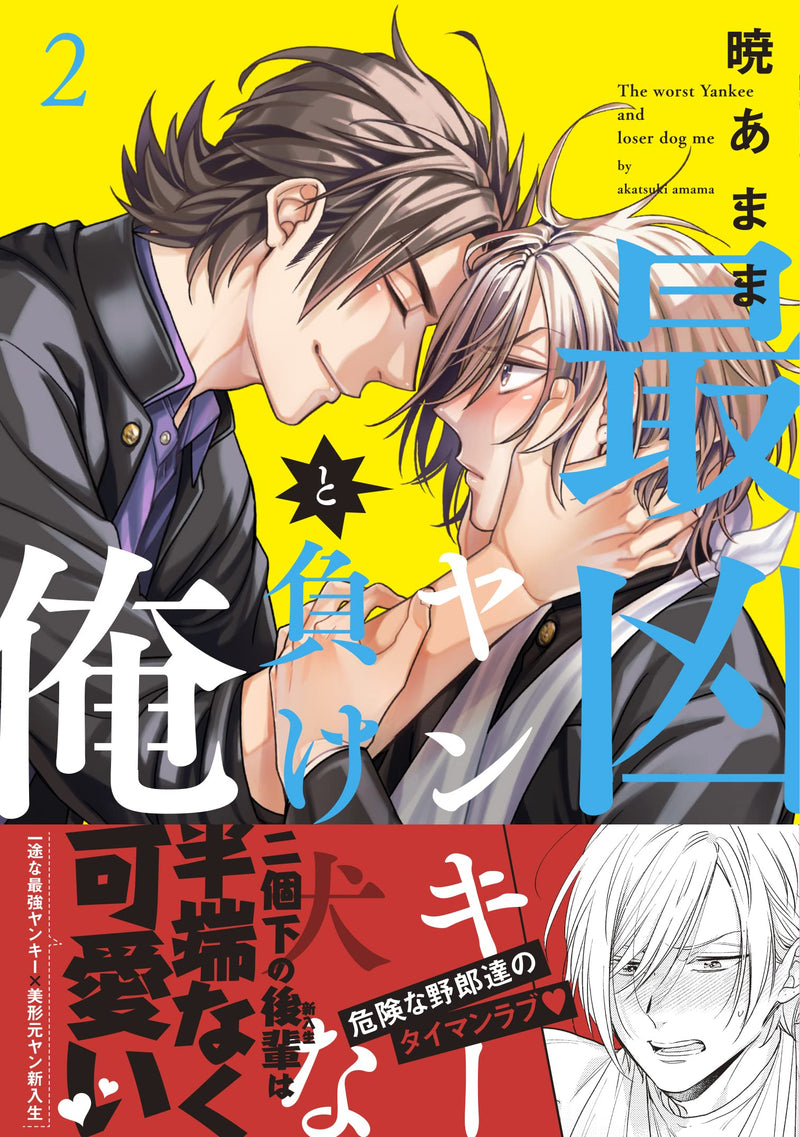 Saikyou Yankee to Makeinu na Ore 2