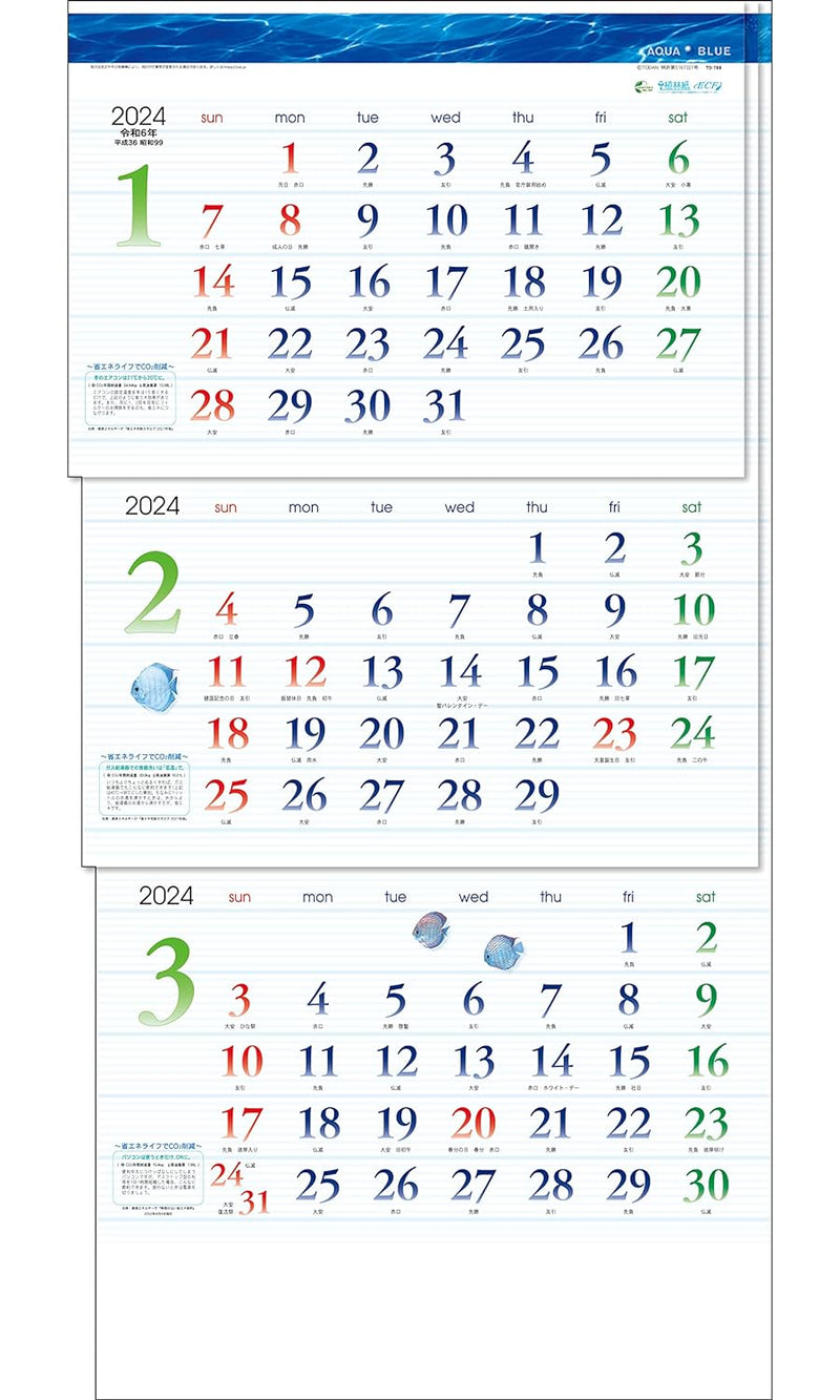 Todan 2024 Wall Calendar Aqua Blue 3-Month eco (From Top to Bottom Type / Perforated) 75 x 35cm TD-30788