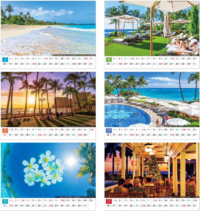 Shashin Koubou 'HAWAII Aloha Story' 2024 Desk Calendar 182x144