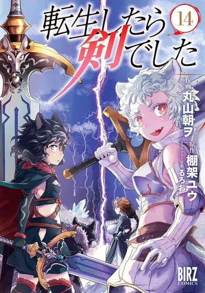 Tensei shitara ken deshita Another Wish 2 comic manga anime Japanese Book