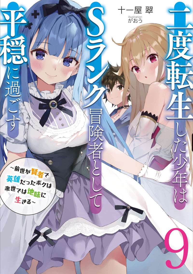 Nido Tensei Shita Shounen wa S Rank Boukensha Toshite Heion ni Sugosu - Zense ga Kenja de Eiyuu Datta Boku wa Raisede wa Jimini Ikiru - 9 (Light Novel)