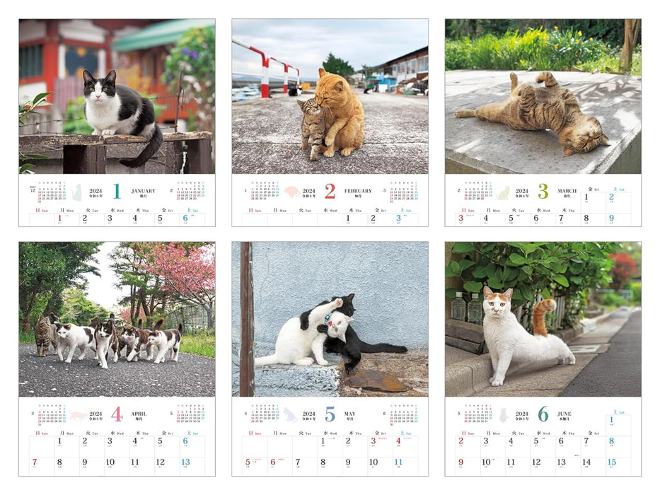 Soto Neko (Impress Calendar 2024)