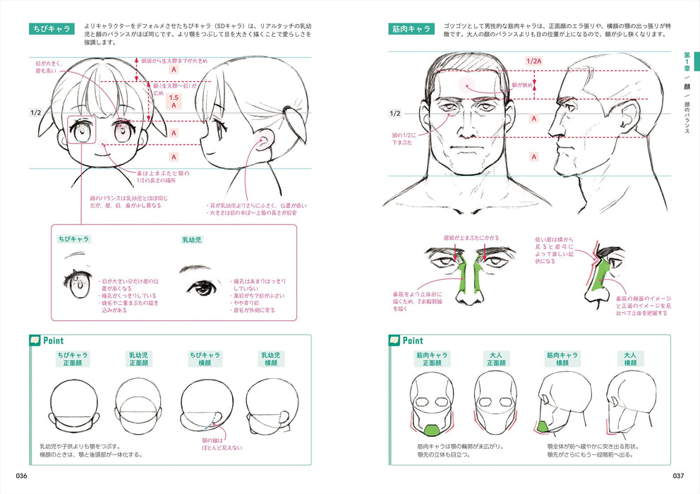 The Drawing Power Goes up at Once! How to Draw the Body & Anatomy Encyclopedia