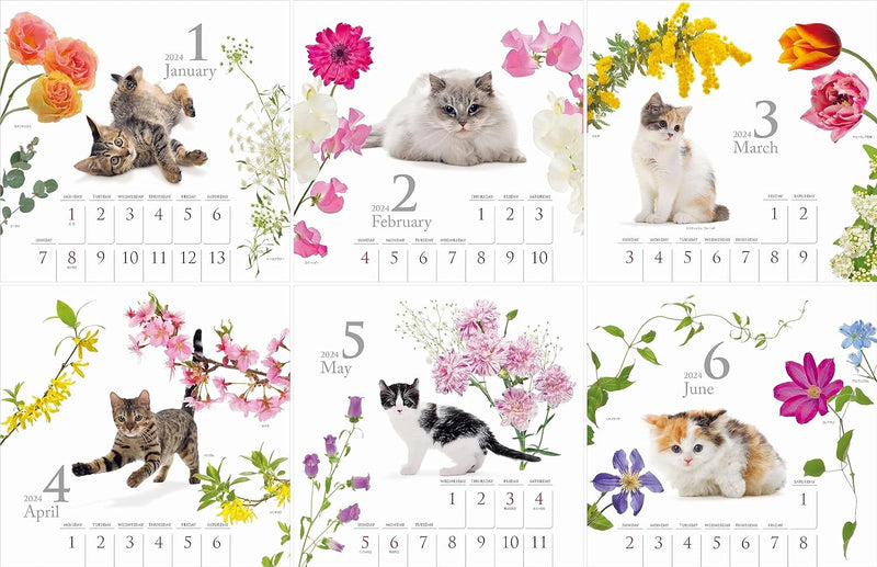 Yama-kei Calendar 2024 Cat and Flower Calendar (Monthly Flip/Wall Calendar)