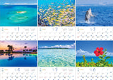 Shashin Koubou 'Okinawa Churaumi Monogatari' 2024 Wall Calendar (with 420x297 holder)