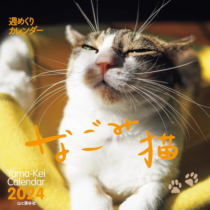 Yama-kei Calendar 2024 Nagomi Cat Weekly Calendar (Weekly Calendar / Desk / Ring)