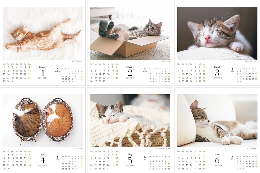 Yama-kei Calendar 2024 Toroke Cat (Monthly / Desk / Ring)