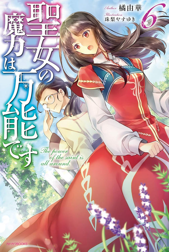 The Saint's Magic Power is Omnipotent (Seijo no Maryoku wa Bannou desu) 6 (Light Novel)