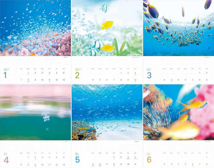 Yama-kei Calendar 2024 The Happiest Sea: The Most Beautiful Ocean in the World (Monthly/Wall Calendar)