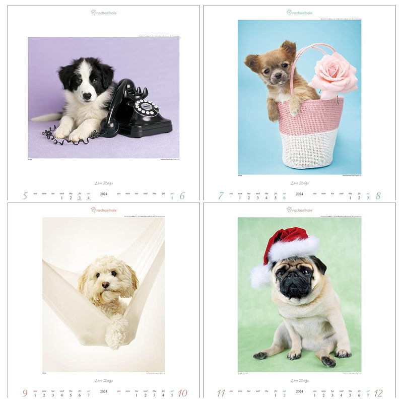 Todan 2024 Wall Calendar Love Dog - Rachel Hale Works - 53.5 x 38cm TD-933