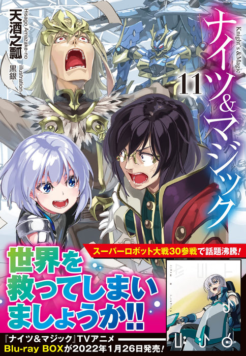 Knight's & Magic 11 (Light Novel)