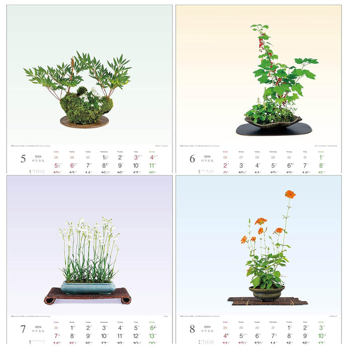 Todan 2024 Wall Calendar Wildflower Bonsai 53.5 x 38cm TD-819