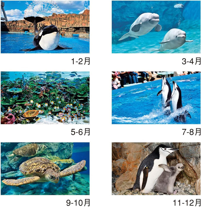 New Japan Calendar 2024 Wall Calendar Healing Aquarium 2 Months Type NK928