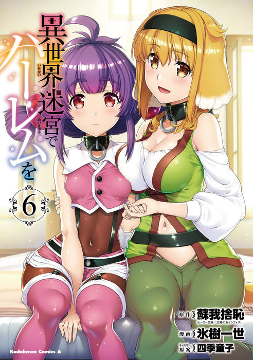 Harem in the Labyrinth of Another World (Isekai Meikyuu de Harem wo) 6