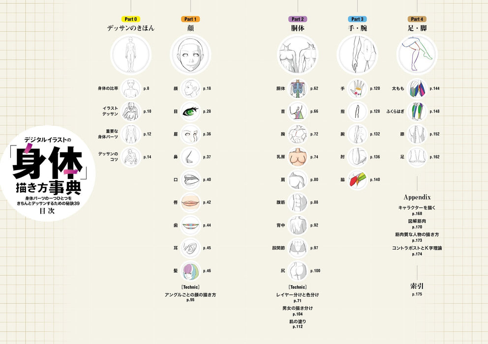 How to Draw 'Body' for Digital Illustrations 39 Tips for Properly Drawing Each Body Part